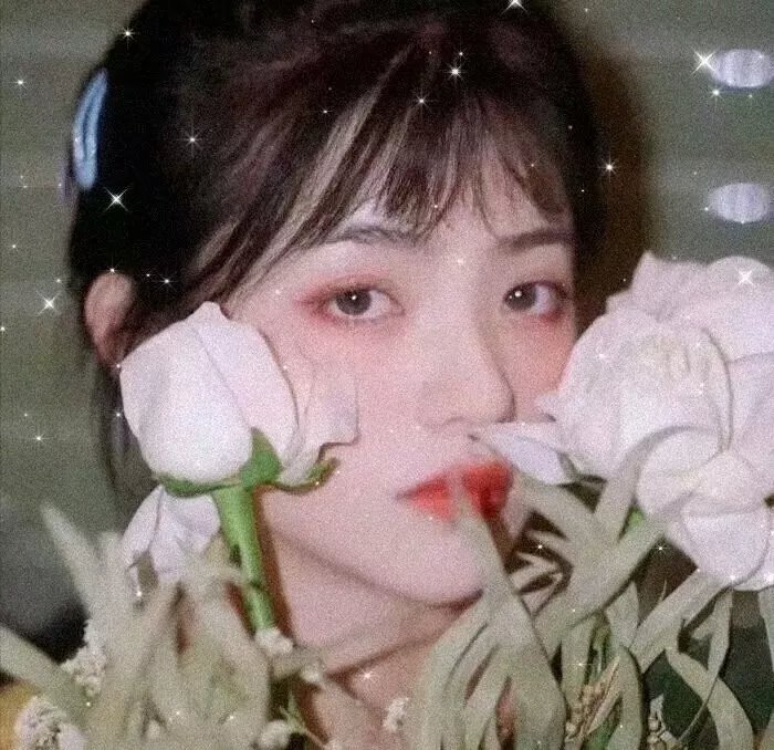 安娜，我的爱